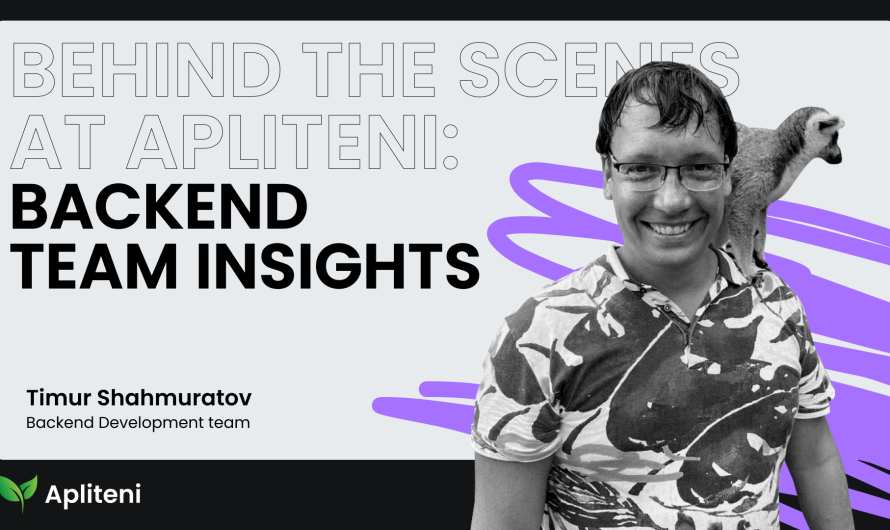 Behind the Scenes at Apliteni: Backend Team Insights