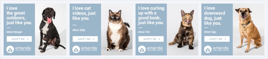 Programmatic Advertising: The Amanda Foundation